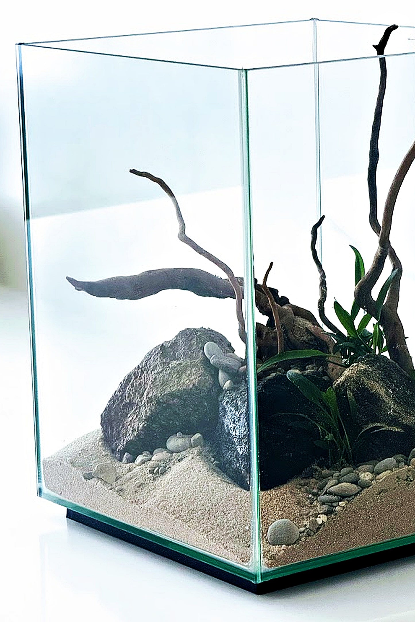 Nano Acuario FLUVAL CHI LI de 19 litros