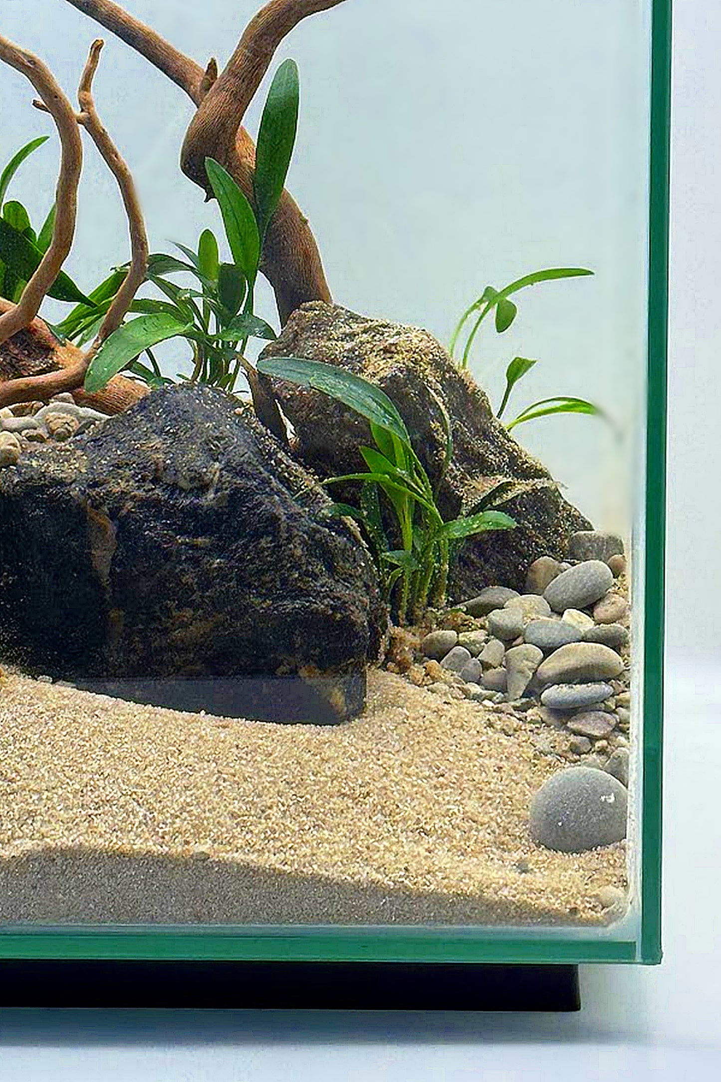 Nano Acuario FLUVAL CHI LI de 19 litros