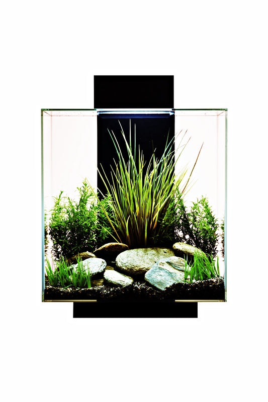 Fluval EDGE LED 2.0 Nano Acuario Negro de 46 litros