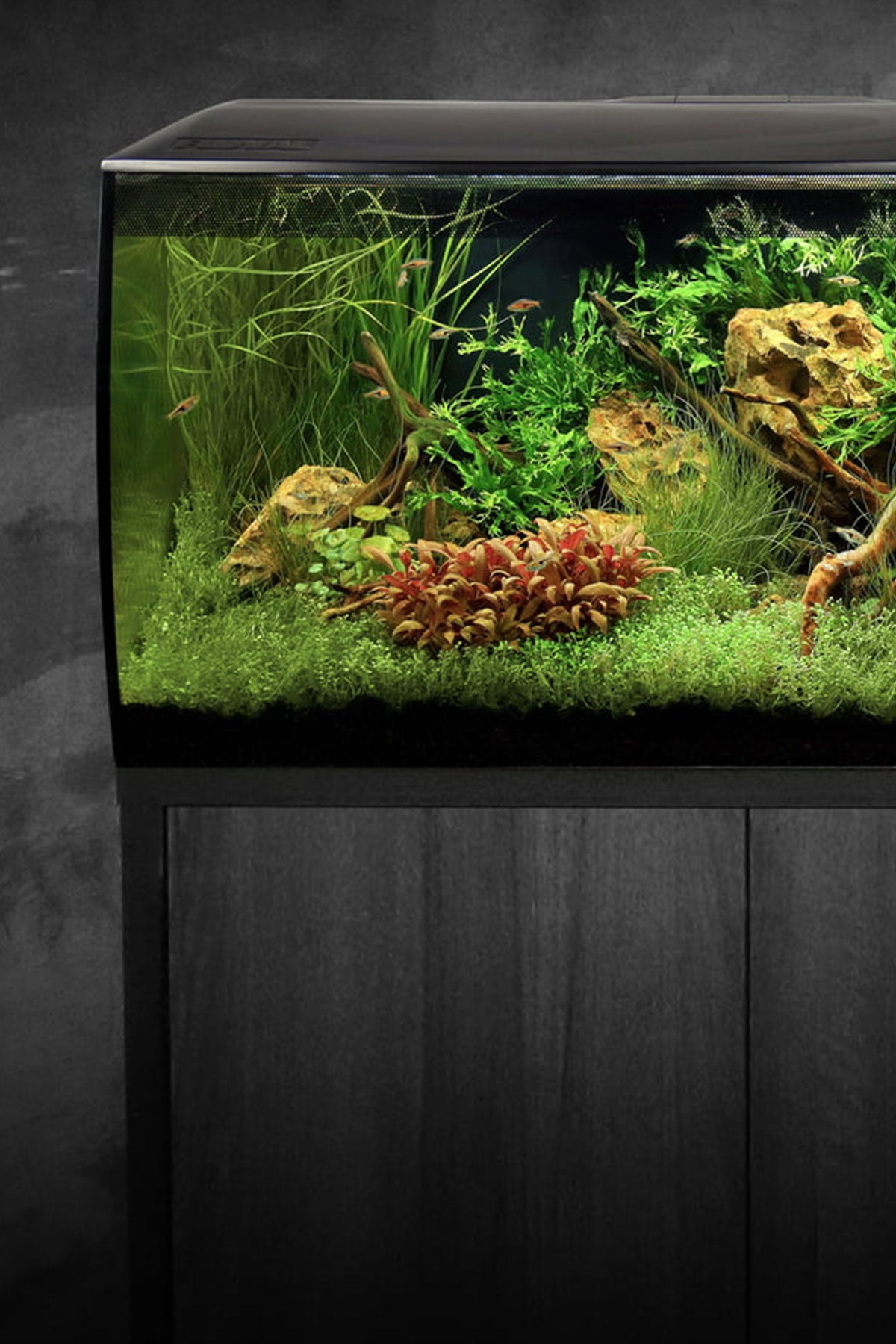 fluval-fluval-flex-kit-acuario-negro