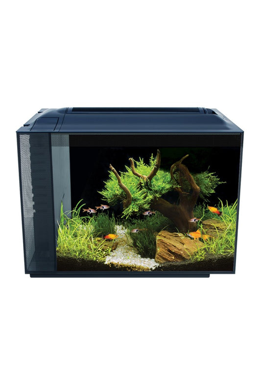 Fluval - Acuario SPEC Nano Negro de 60 litros