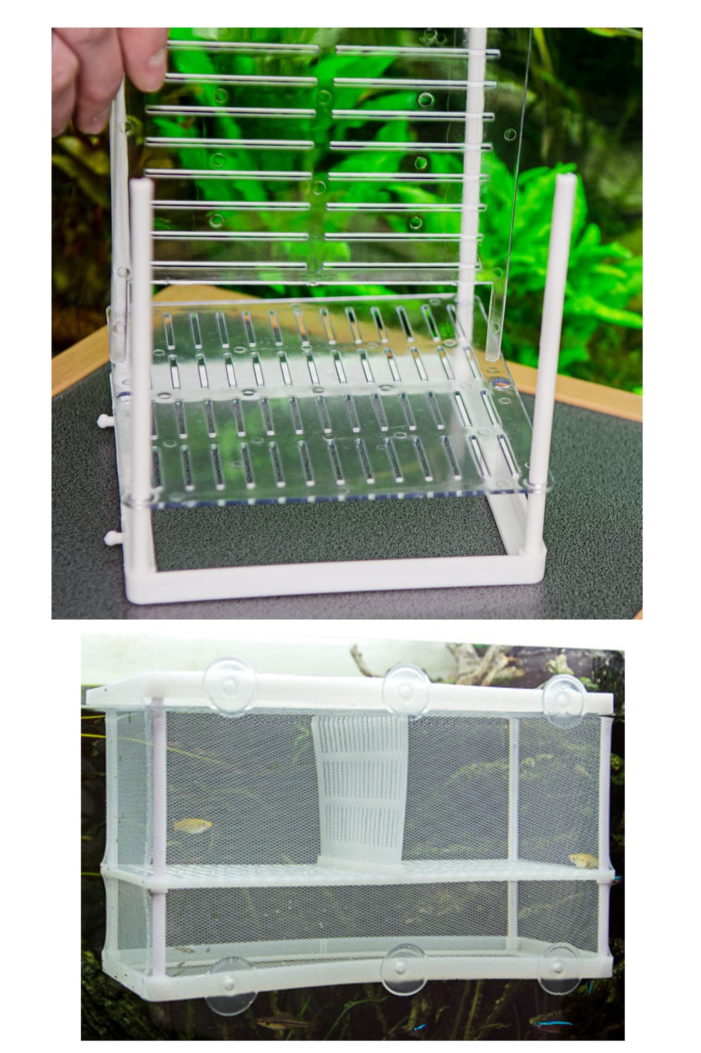 Hobby Dupla - 61384 Paridera Flotante Nido 3.1 Xl