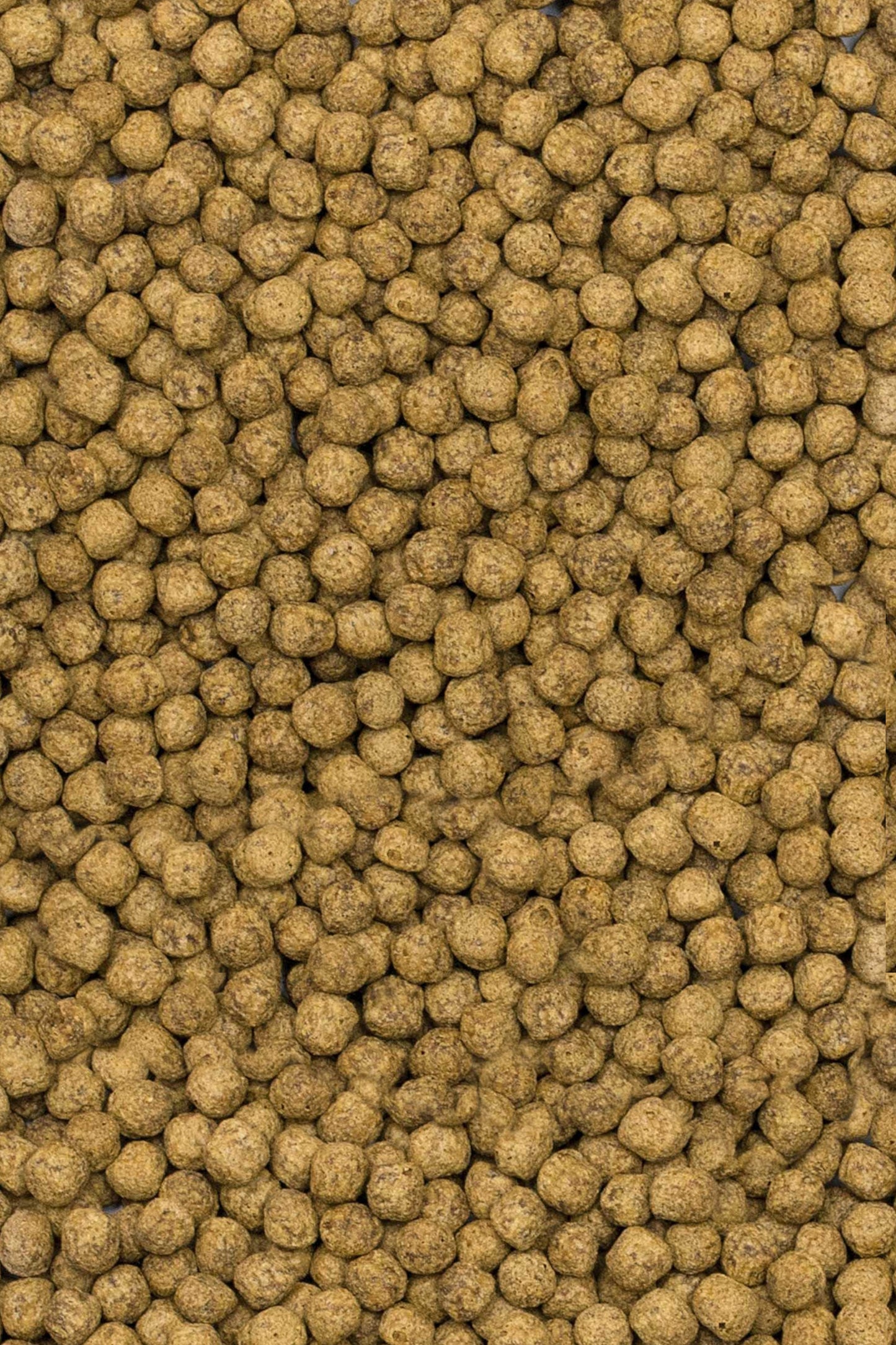 Tropical - Koi Silkworm & Astaxanthin Pellet M 5L/1,5 kg