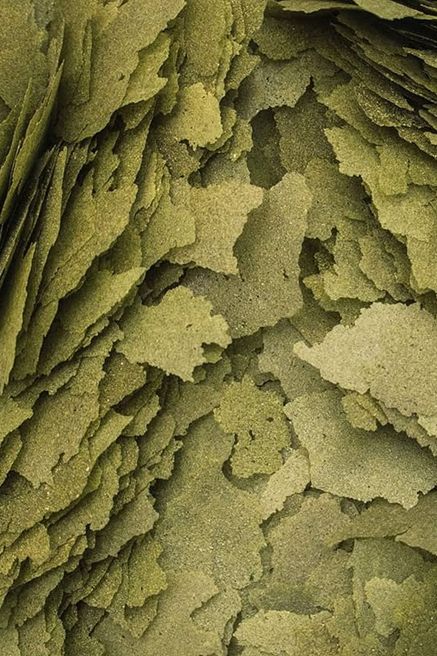 Tropical - 3-Algae Escamas 250 ml.