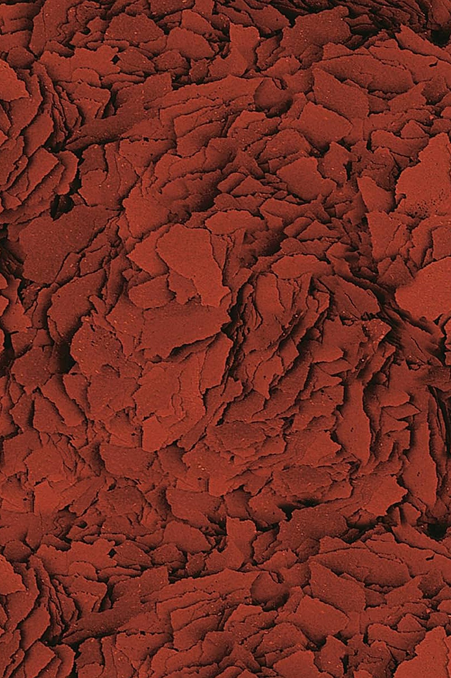 Tropical - Astacolor 500 ml.