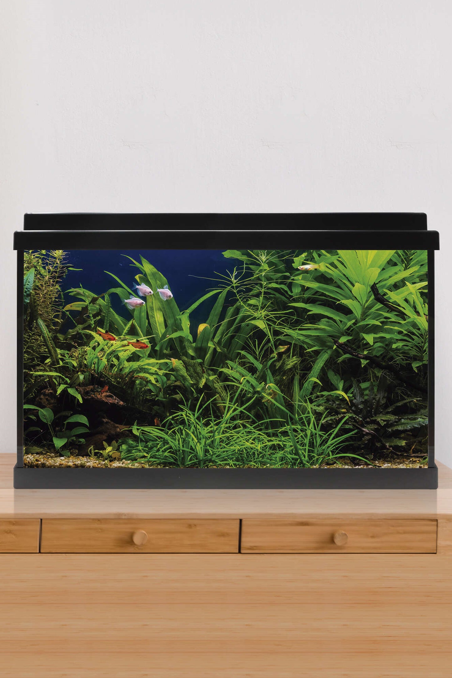Acuario Kit AquaLED 64 con Filtro Interior (64 litros) Negro