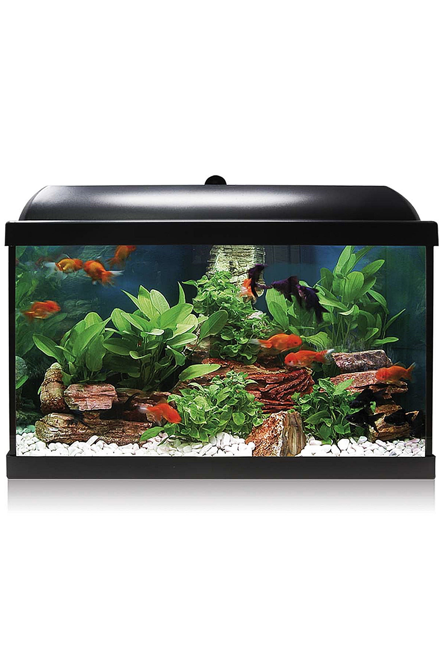 AquaLED PRO 45 - Acuario de 45 litros en Negro
