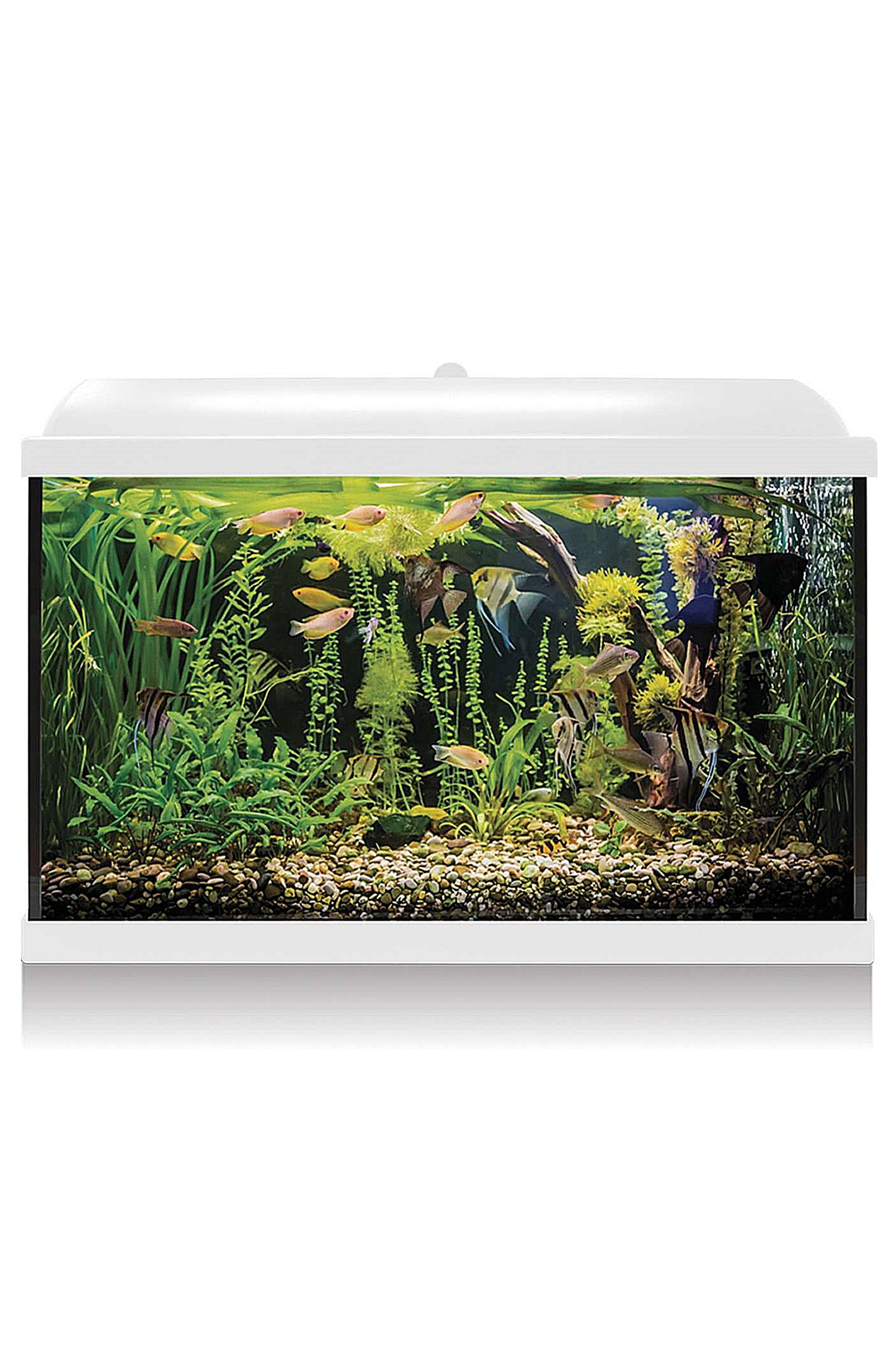 AquaLED PRO 68 - Acuario de 68 litros en Blanco