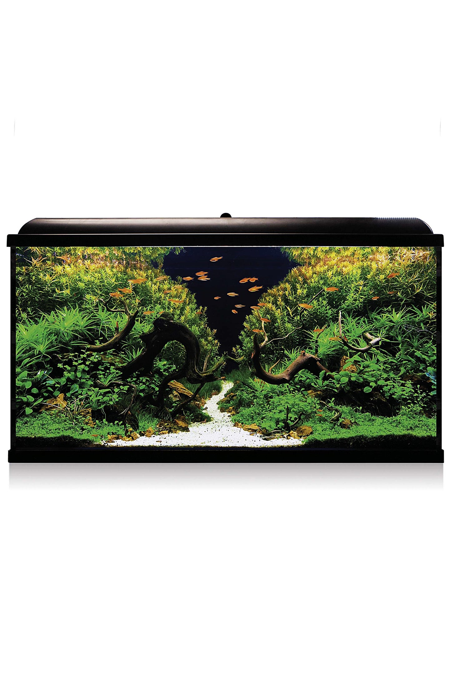 AquaLED PRO 300 - Acuario de 300 litros en Negro