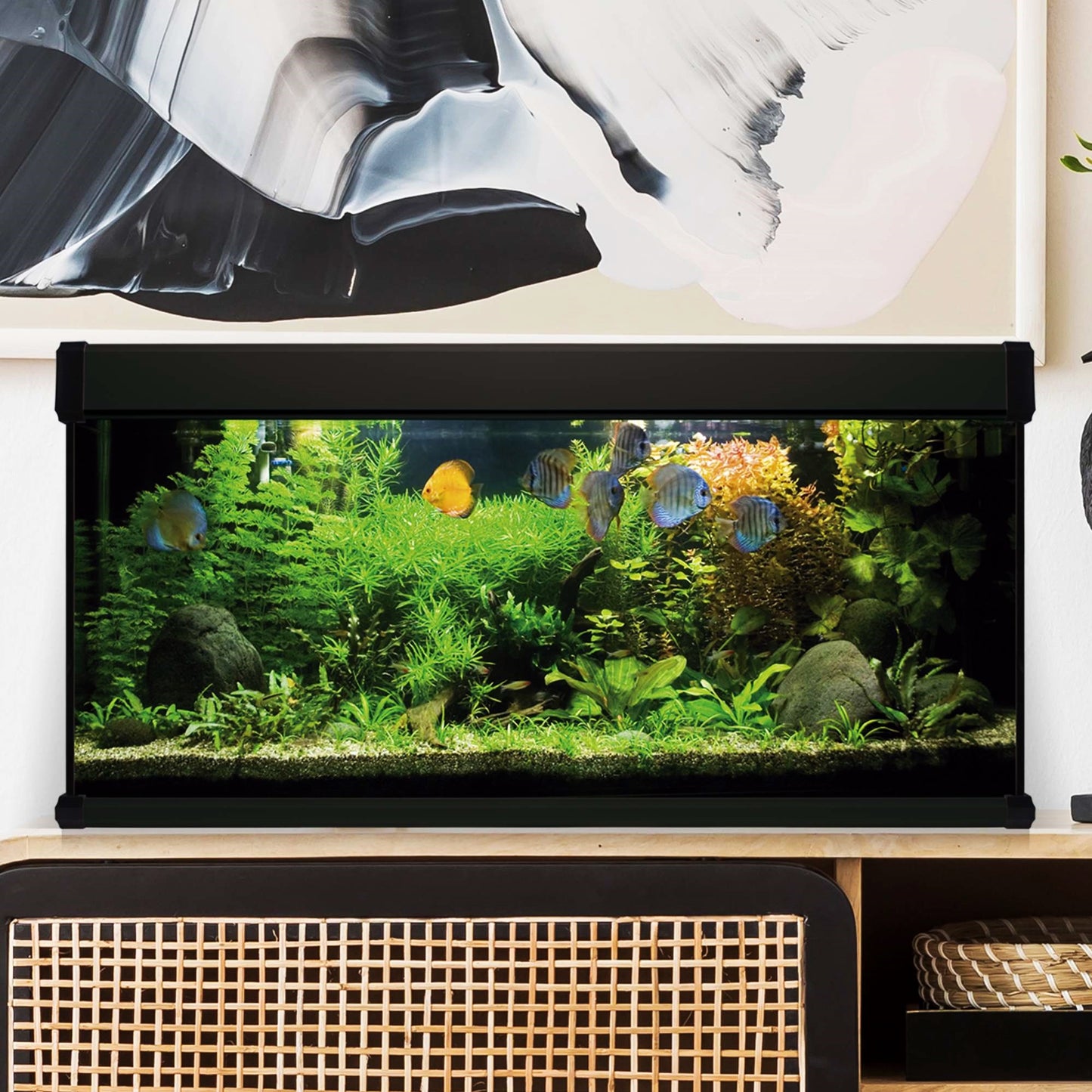 Kit AquaLUX PRO 240 - Acuario de 240 litros Negro