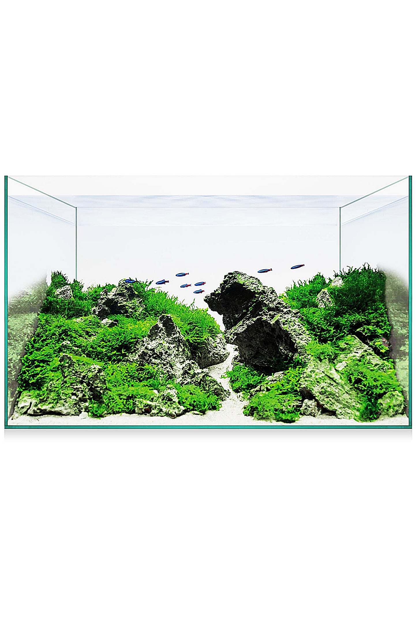 Acuario Kit AquaScape Basic 14 de 12,7 litros