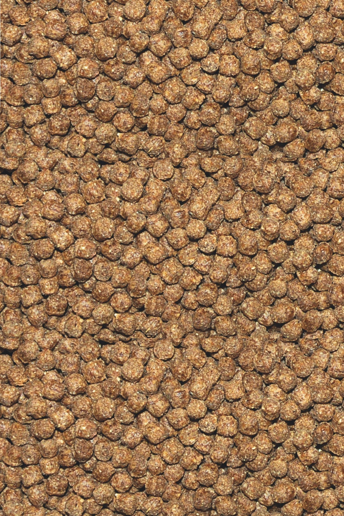 Alimento Cichlid gran de Dajana (250 ml)