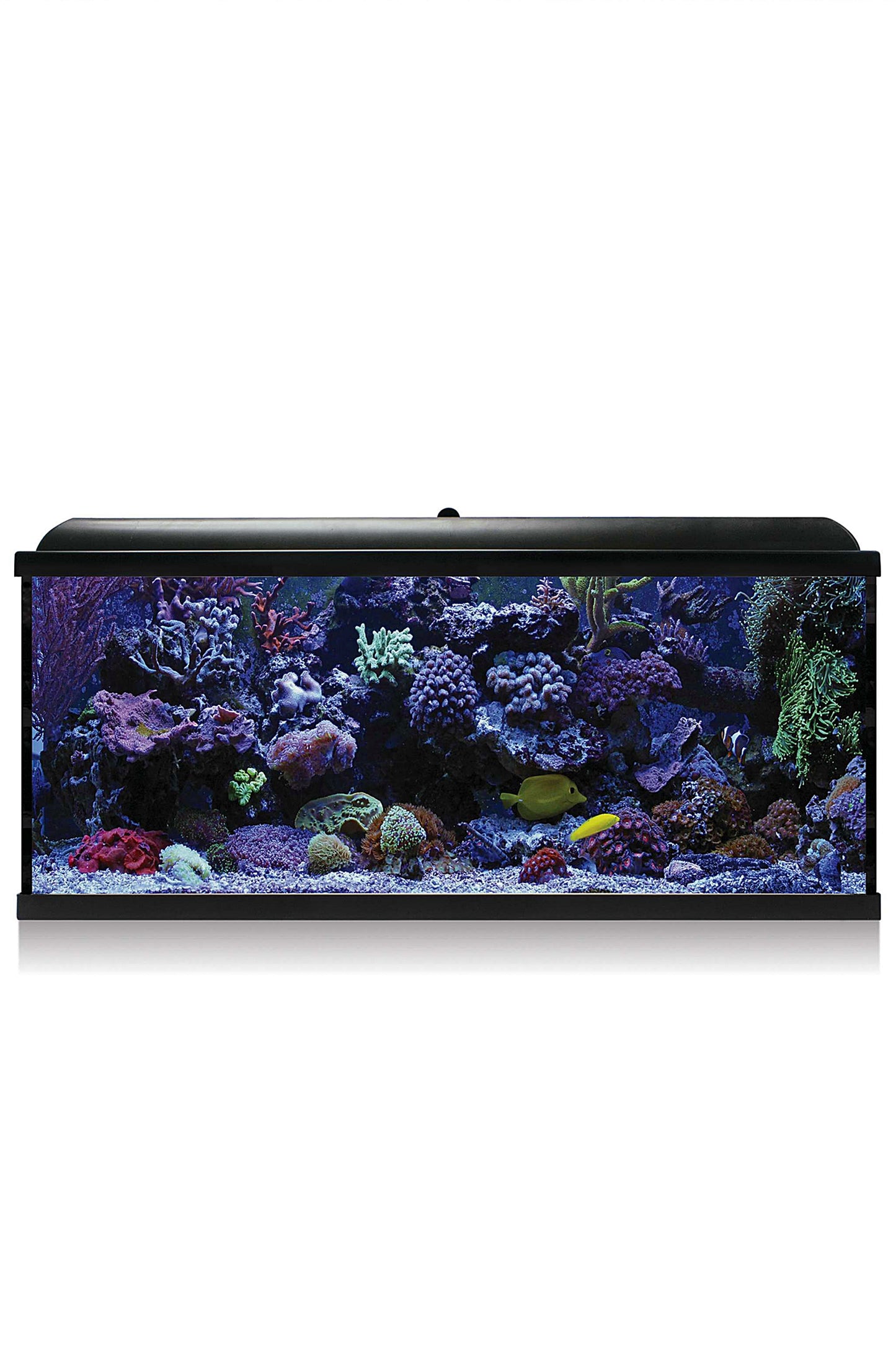 Acuario Kit Hydra 130 para marino Negro