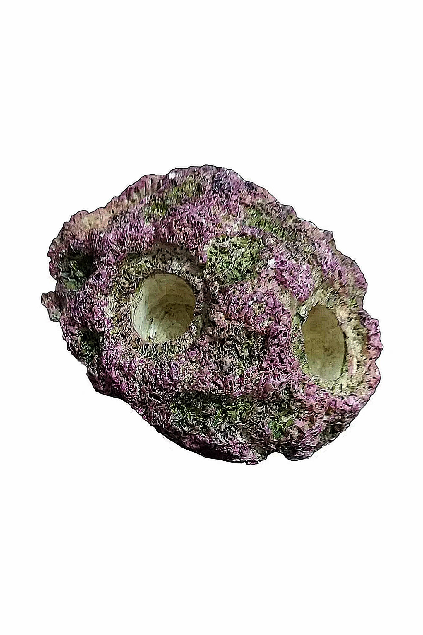 Roca con 4 Coral Plugs AquaOcean
