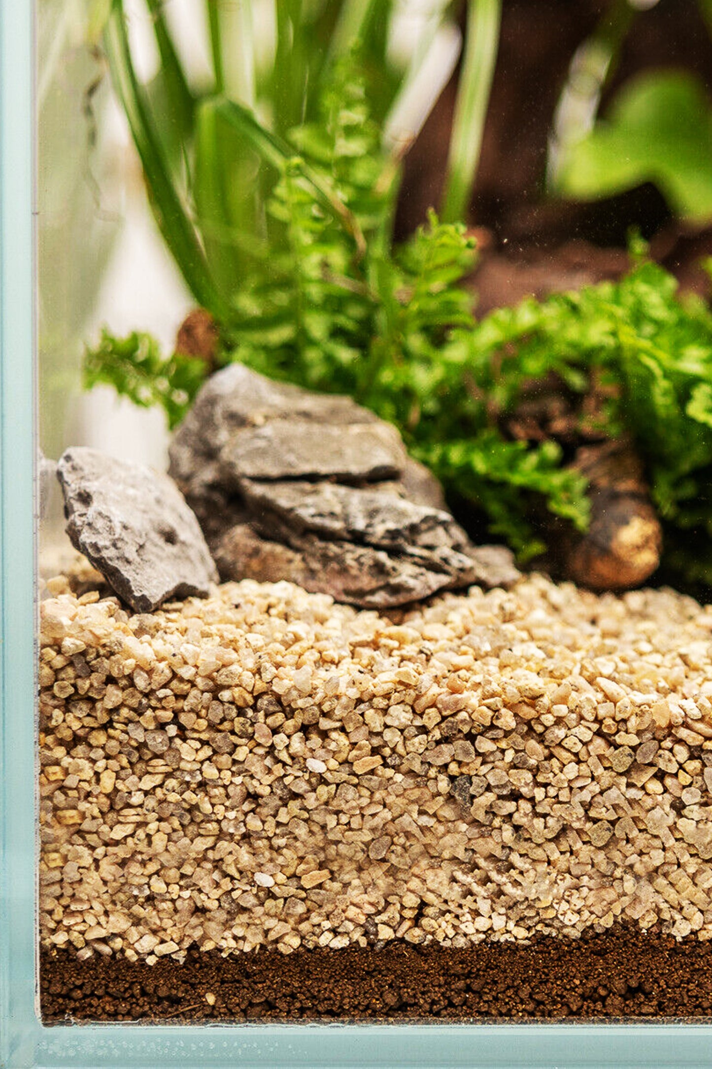 Dennerle Plants Substrate - 1 litro