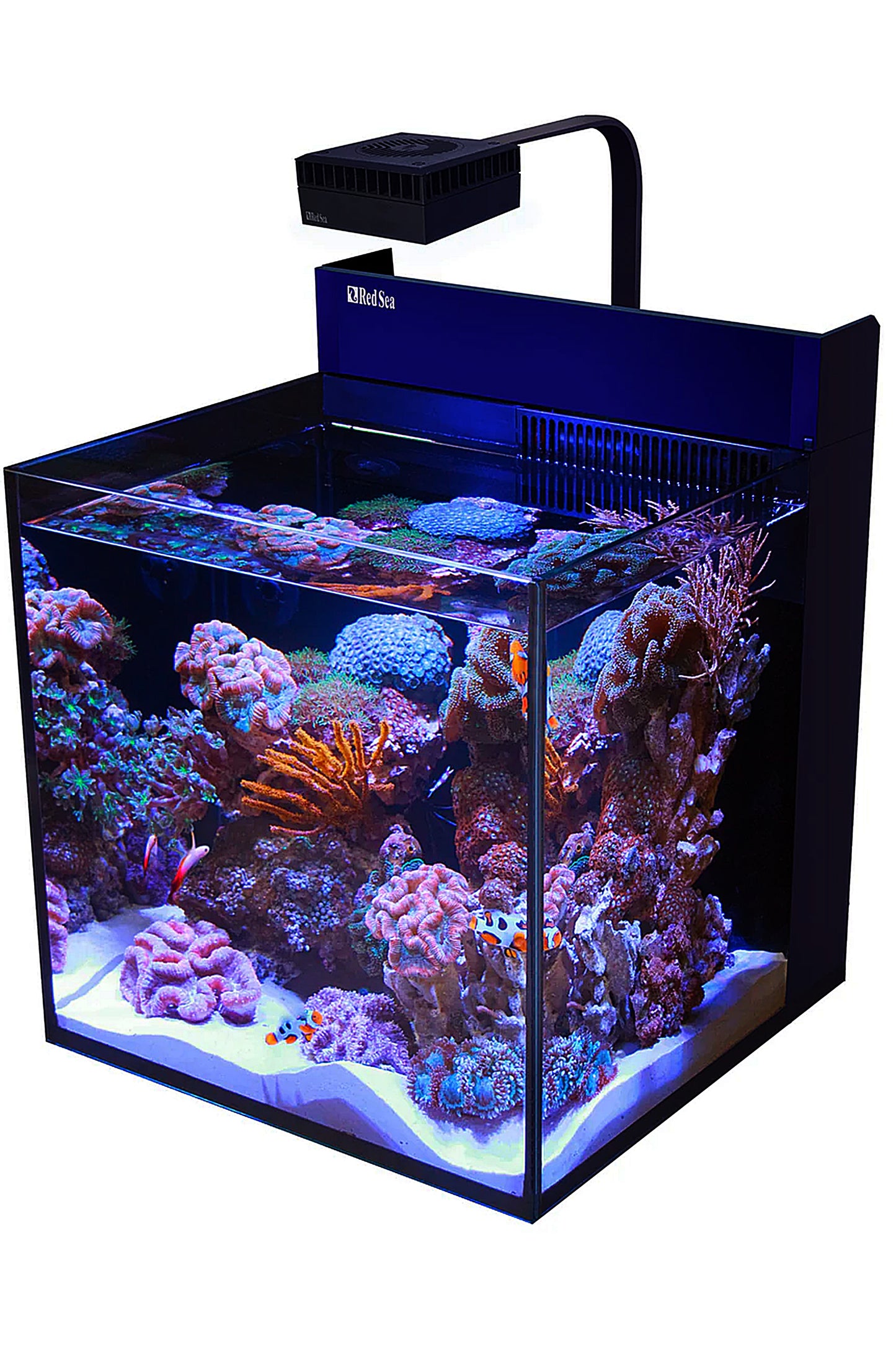 Acuario MAX NANO G2 (con ReefLED sin mesa) de 75 litros