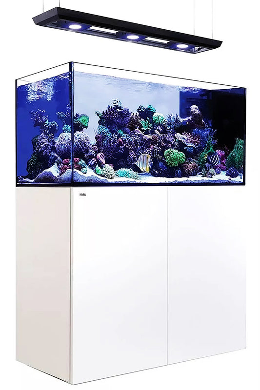 Acuario REEFER™ Península 500 Blanco 3 x Reef Led 90W SOPORTE TECHO LED ReefClean600