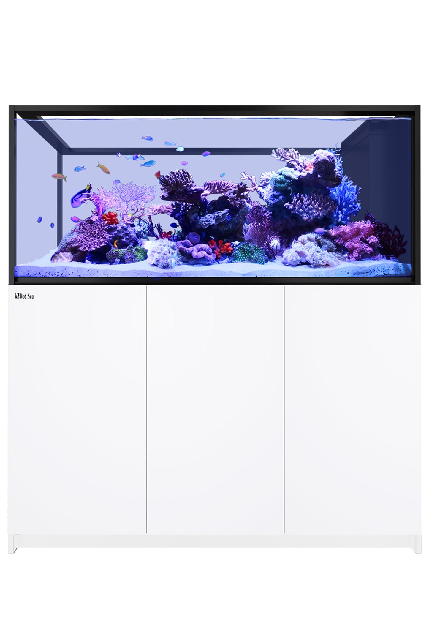 Acuario REEFER™ Península S700 Blanco 4 x Reef Led 90W SOPORTE TECHO LED ReefClean900