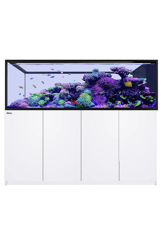 Acuario REEFER™ Península S950 Blanco 4 x Reef Led 160W SOPORTE TECHO LED ReefClean900