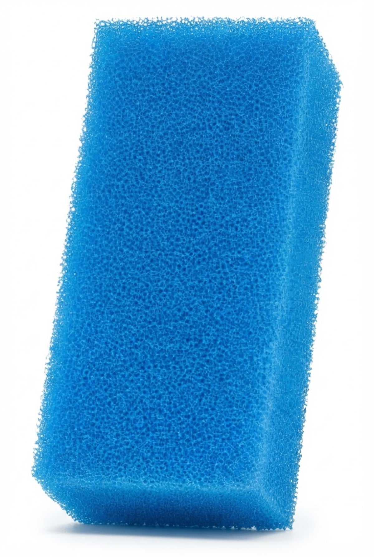 Material filtrante para filtro Fluval AC50 Bio-Esponja Azul 1 ud.