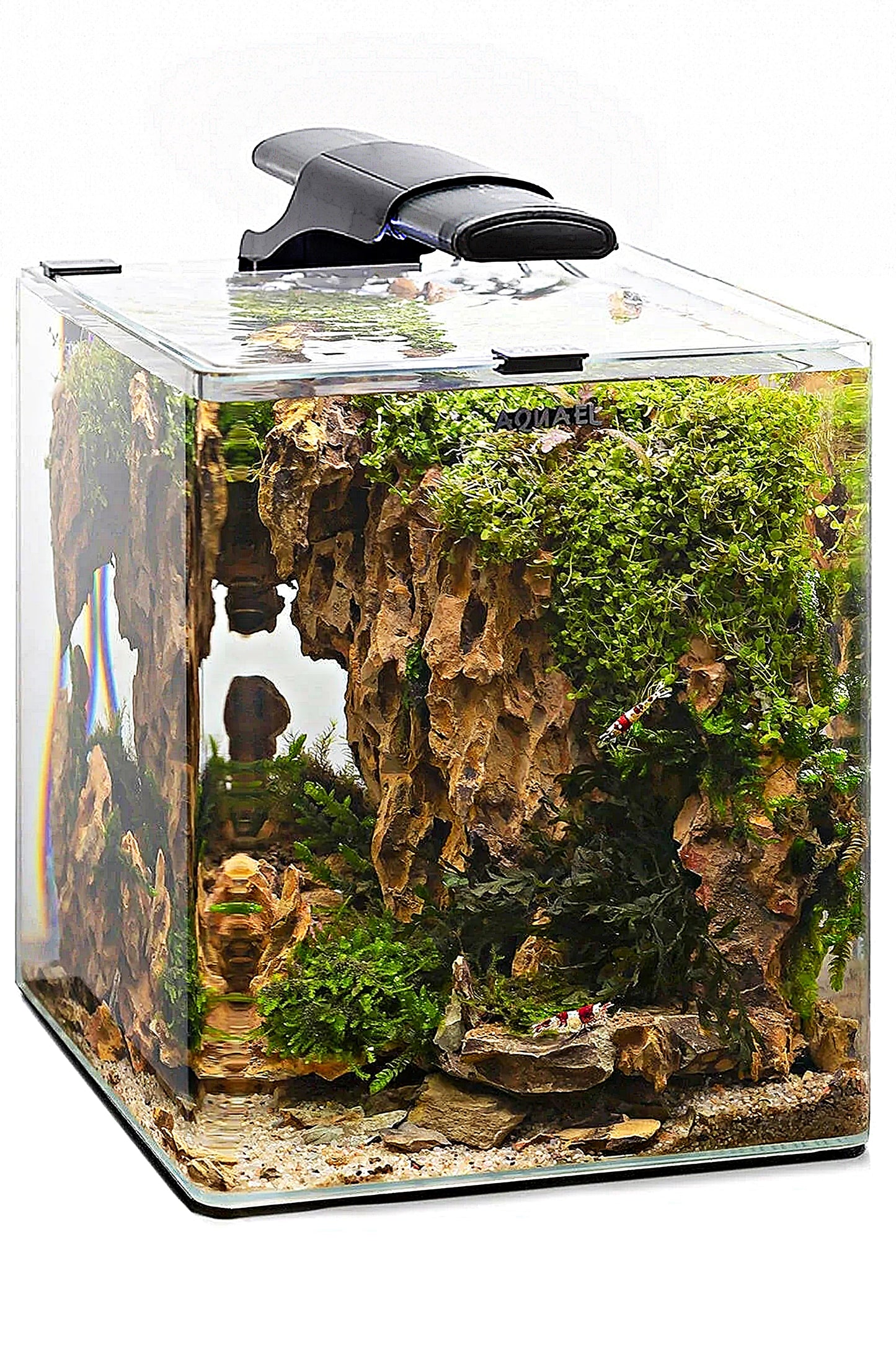 AQUAEL - Iluminación LEDDY SLIM DUO Sunny Plant & Night 10W (Negra)