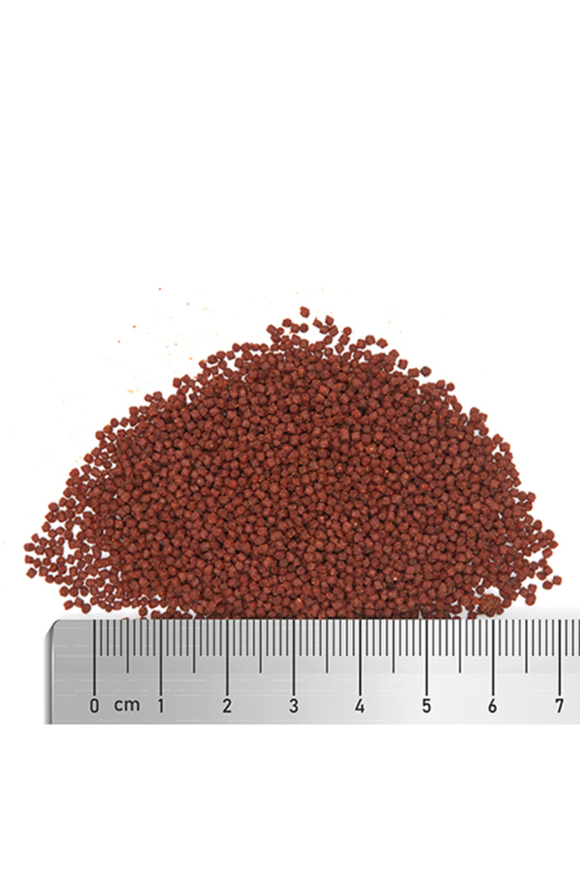 Fauna Marin - Soft Protein Super Food M 60 gr.