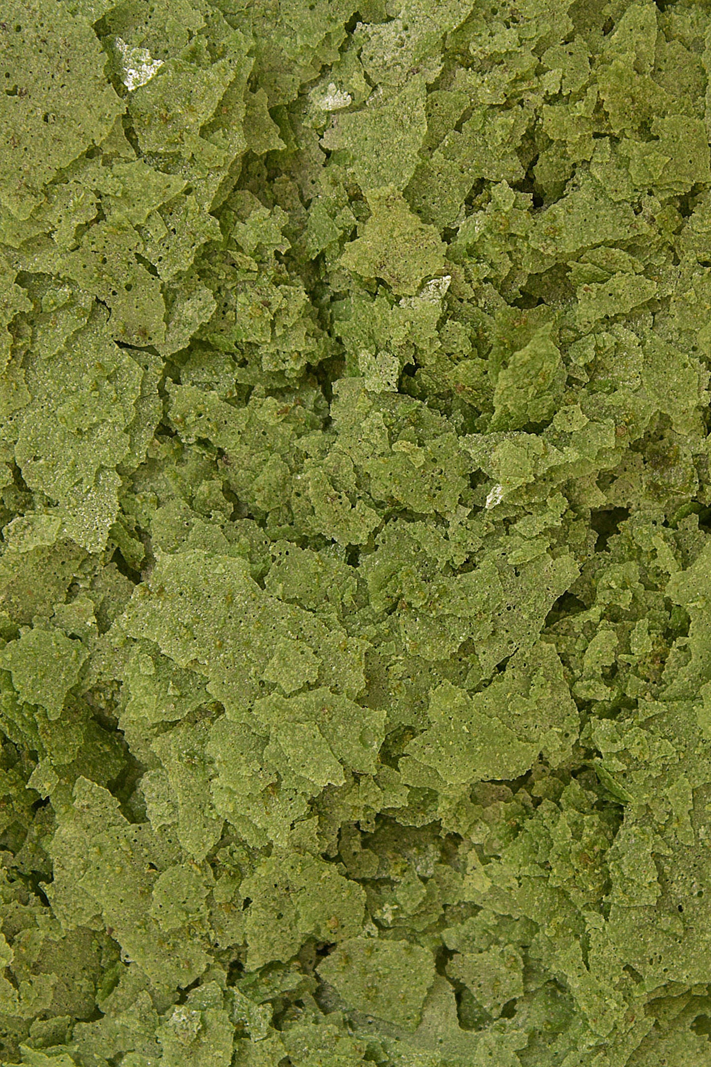 Ocean Nutrition - Escamas Formula Two 34 gr.