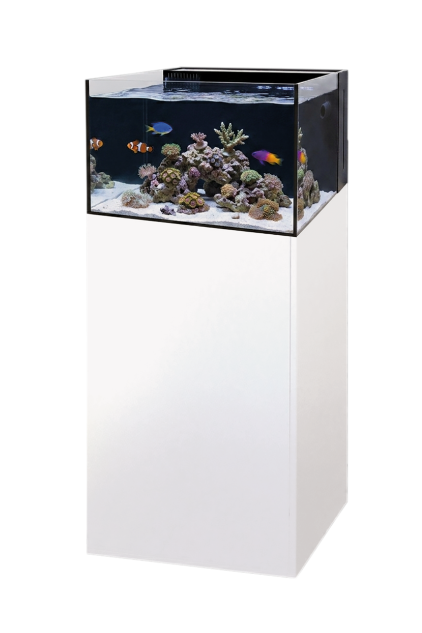 Nuevo Acuario marino YASHA 100 LAGOON de AquaMedic