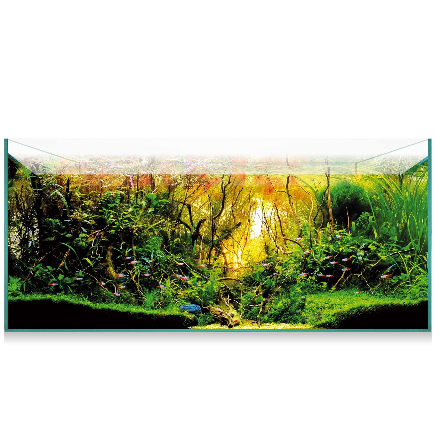 AquaScape 180 - Urna de cristal óptico de 179 litros