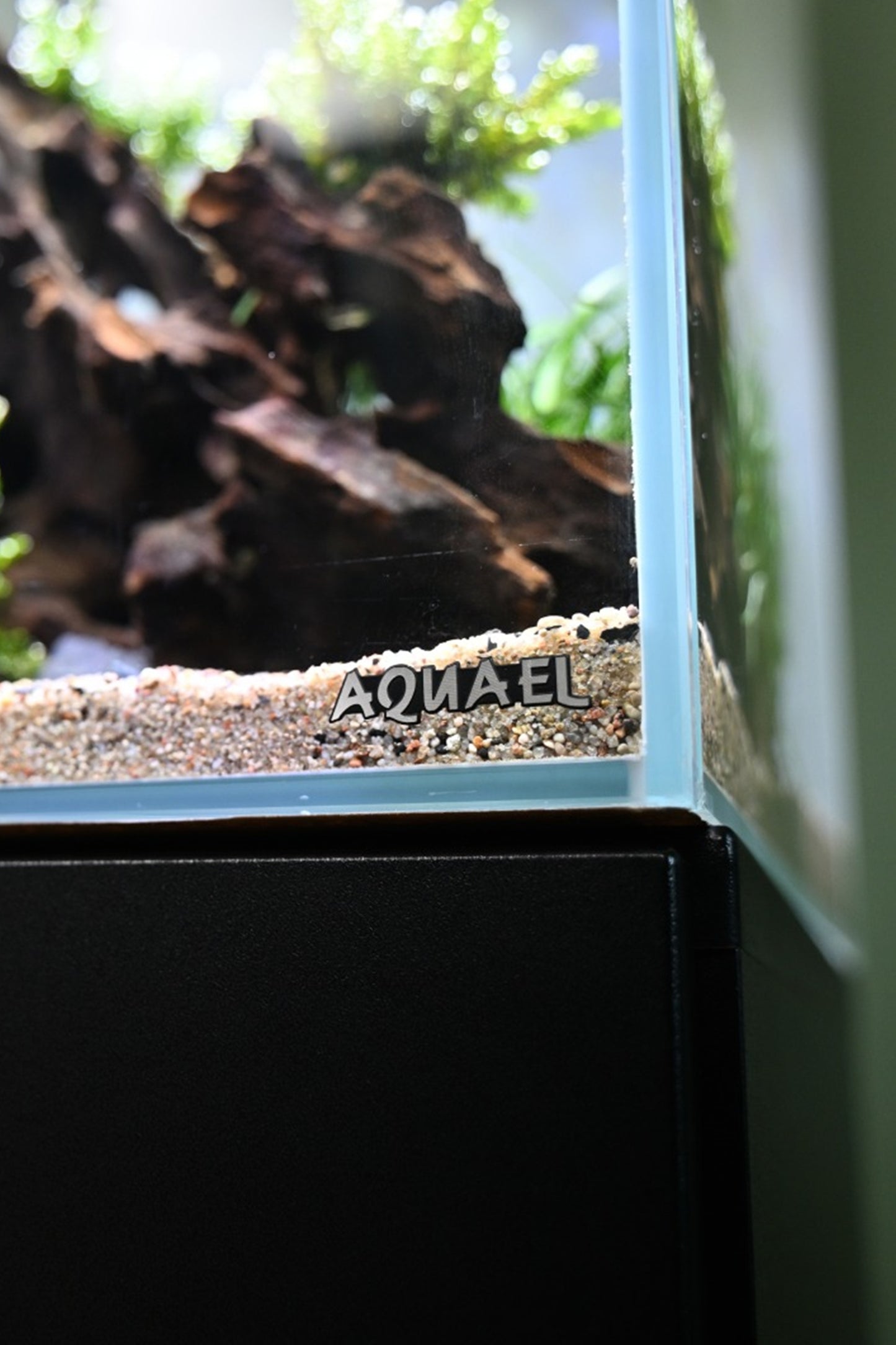 Opti Tank Scape 60 - Urna de cristal óptico de 65 litros