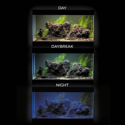 Acuario Optiset 240 litros - Negro