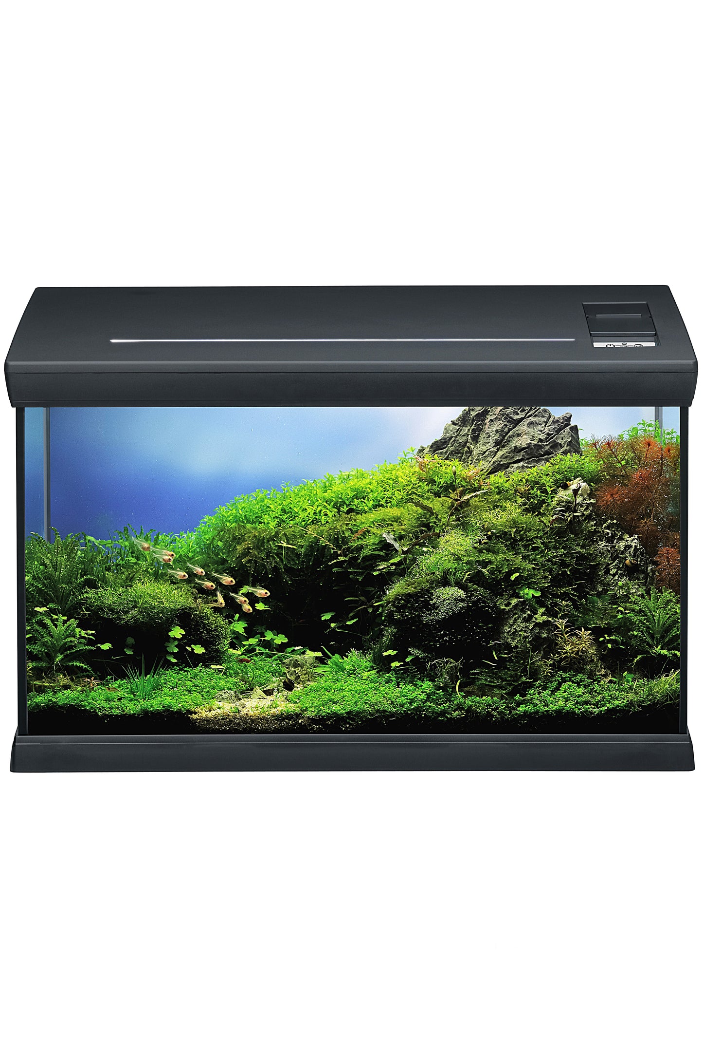 EHEIM - Kit Eheim Aquaclass 66 (Antracita)