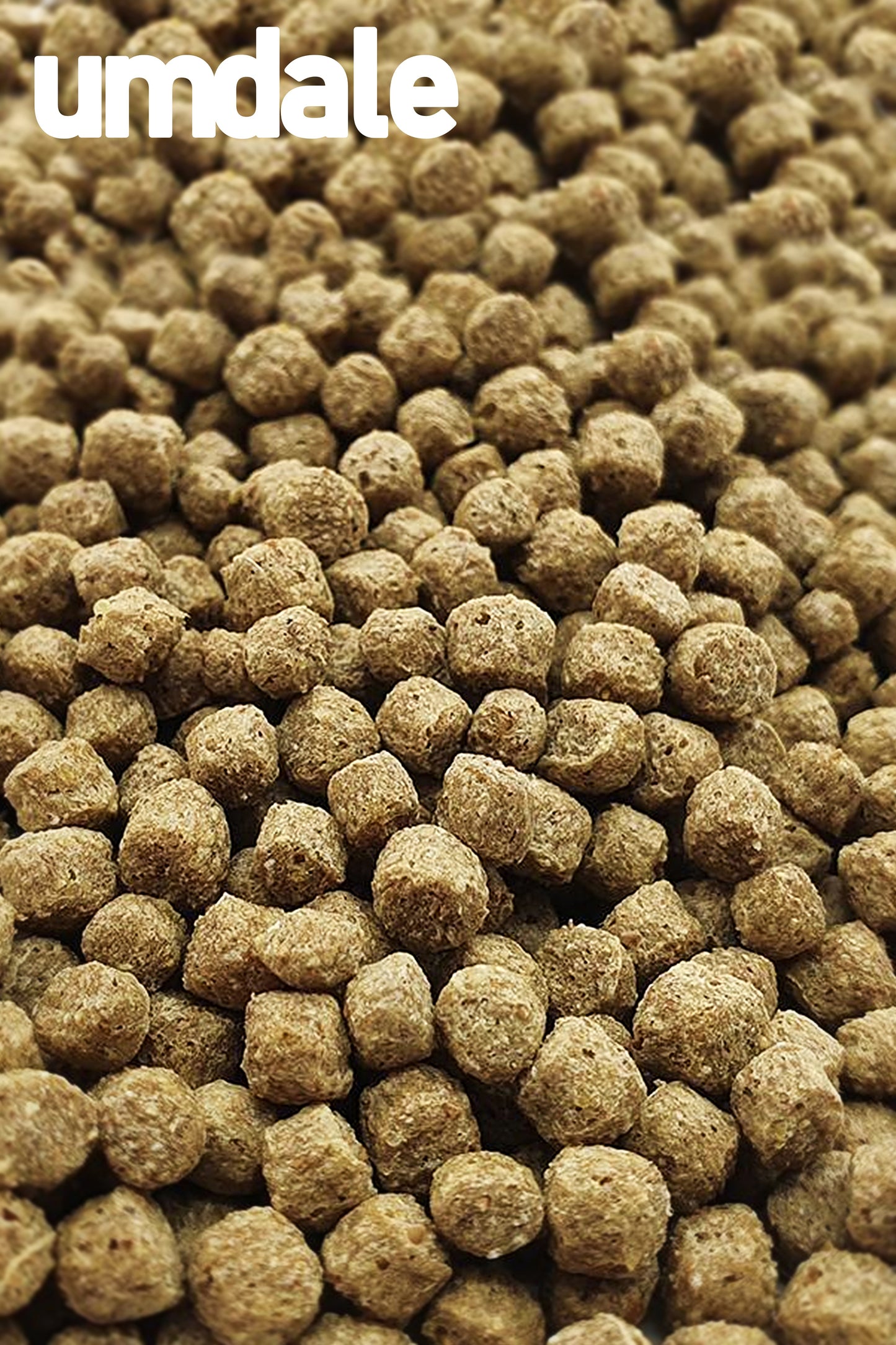 Fluval - Bug Bites Agua Fría Pellets, 100G