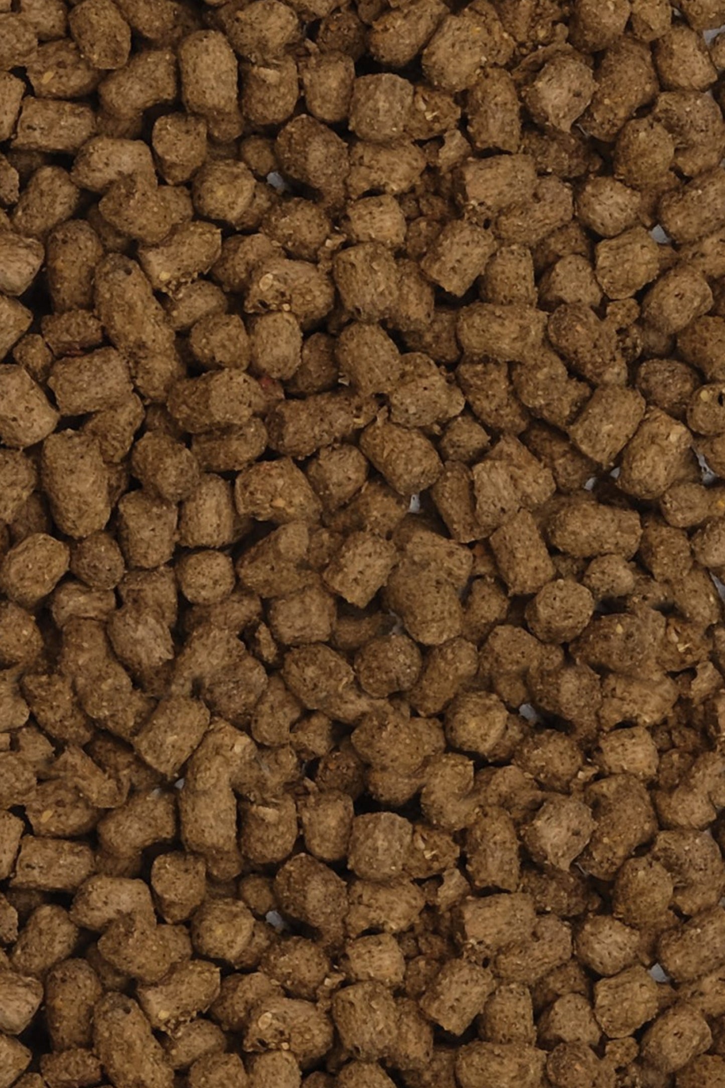 Fluval - Bug Bites Cíclidos Pellets, 100G