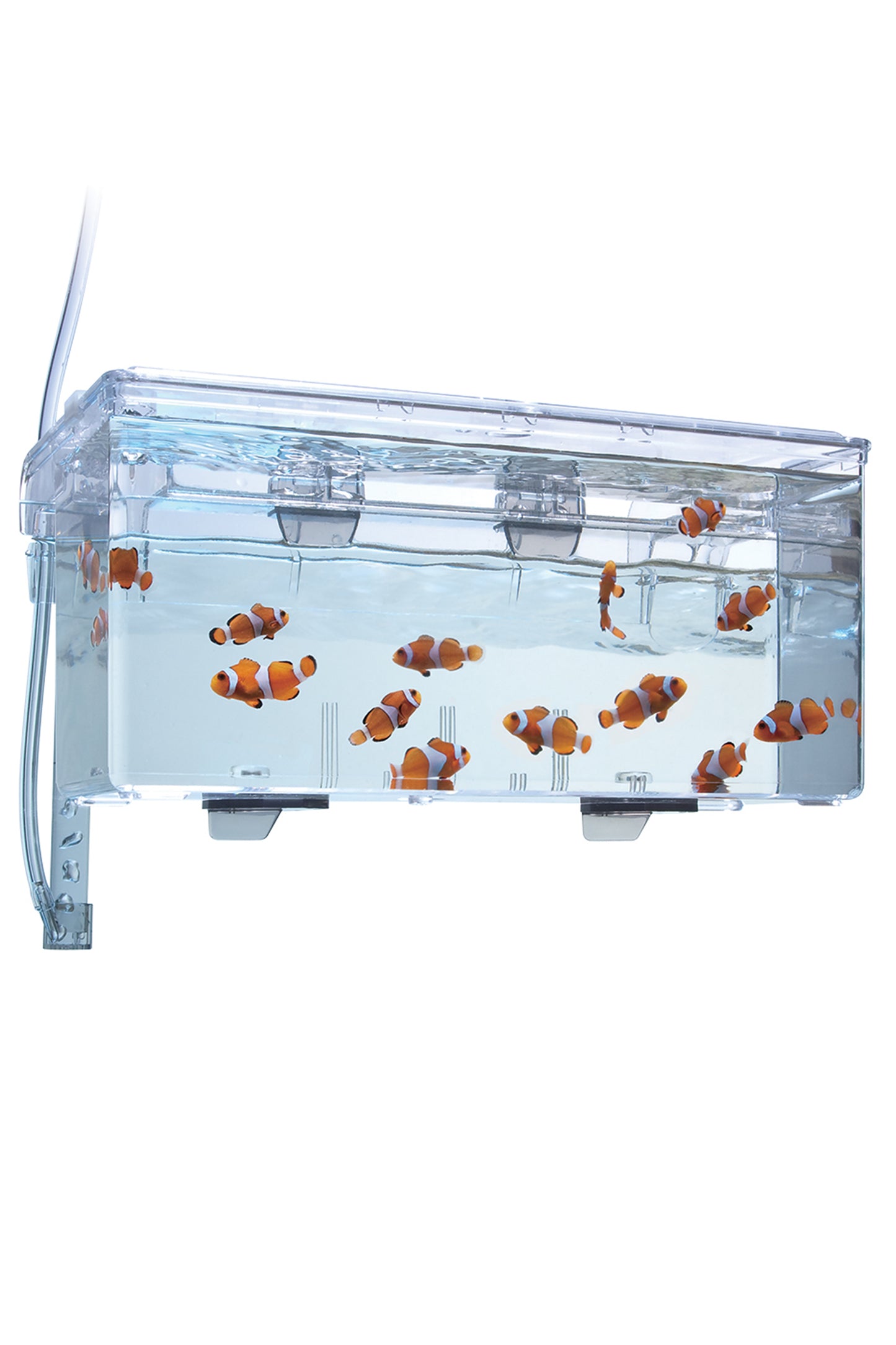 Fluval - Breeding Box L, 2L