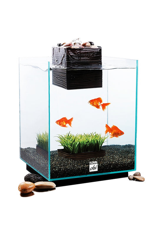 Fluval - Chi Ii Nano Acuario, 19L