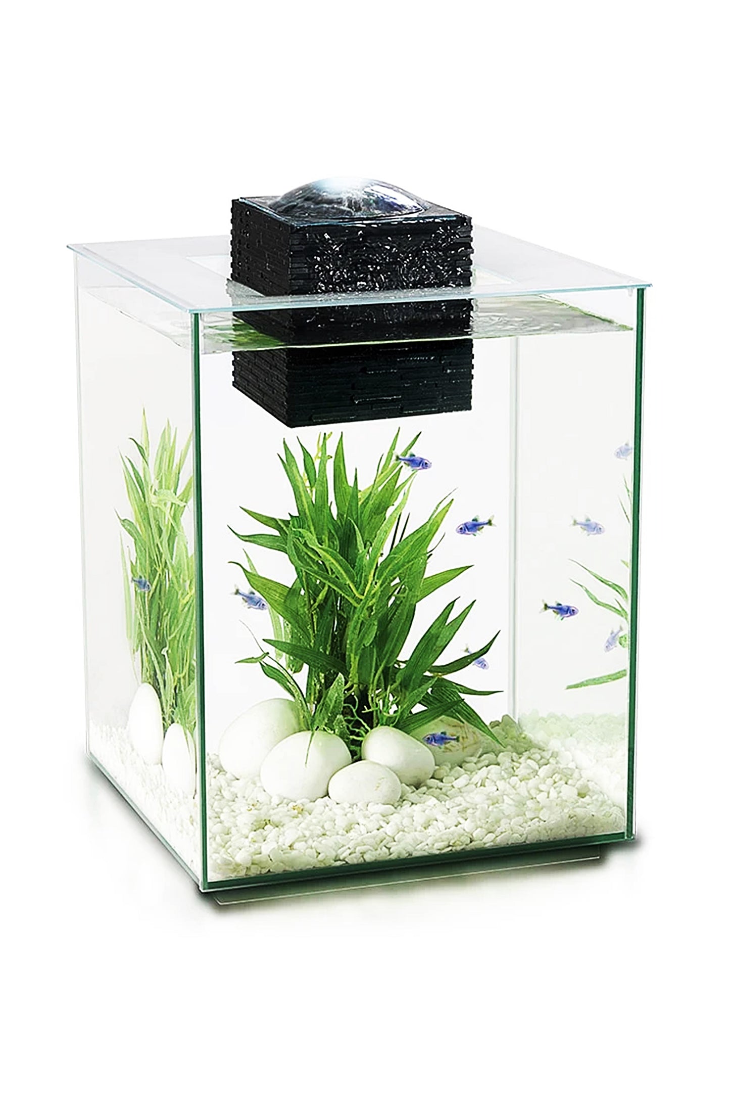 Fluval - Chi Ii Nano Acuario, 19L