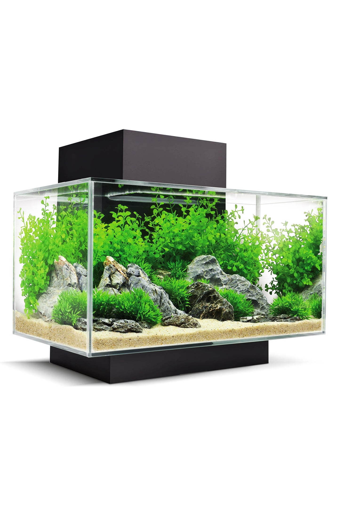 Fluval EDGE LED 2.0 Nano Acuario Negro de 23 litros