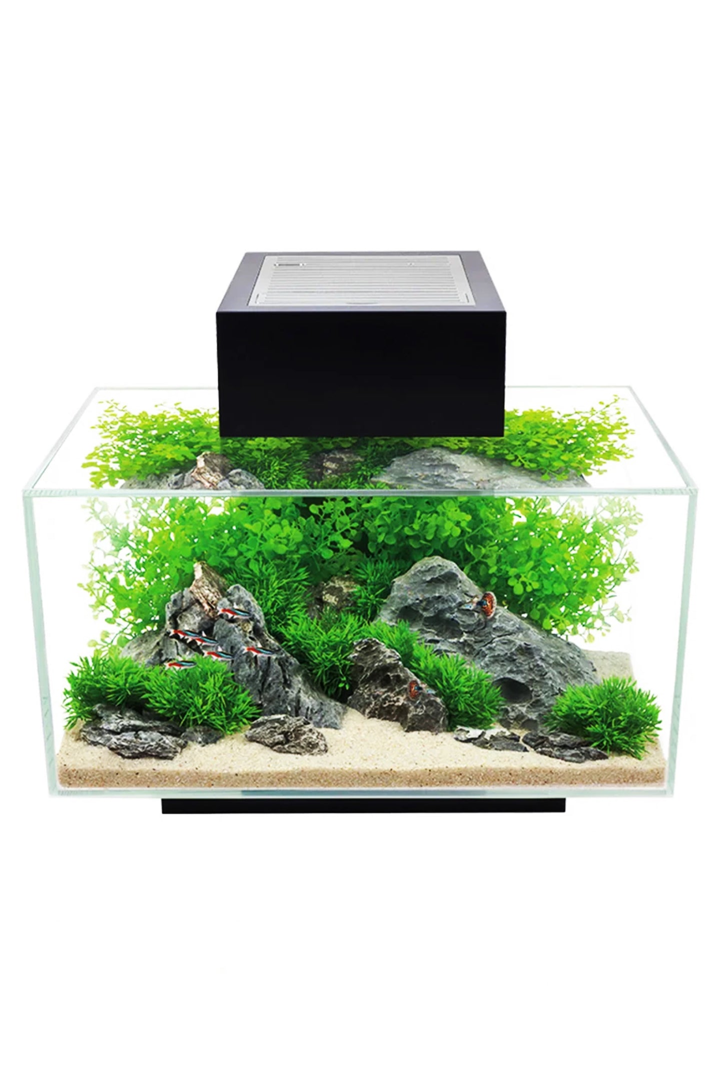 Fluval EDGE LED 2.0 Nano Acuario Negro de 23 litros