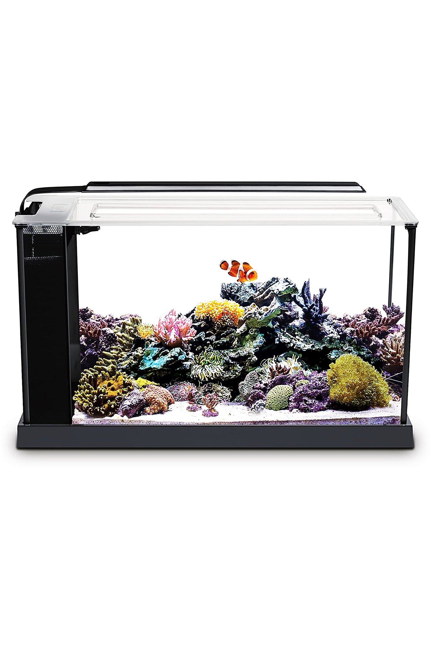 Fluval - Evo Marine Aquarium, Schwarz, 19L