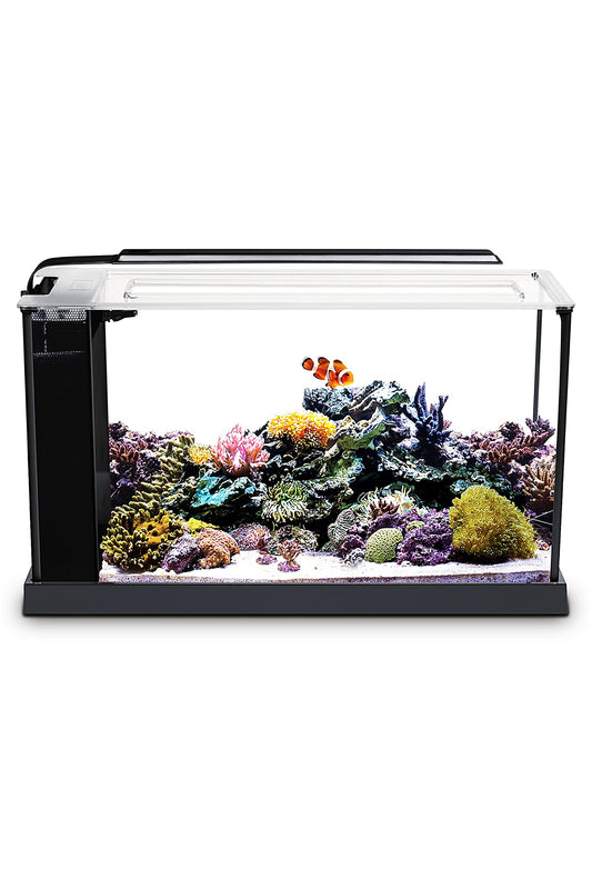 Fluval - Evo Acuario Marino, Negro, 19L