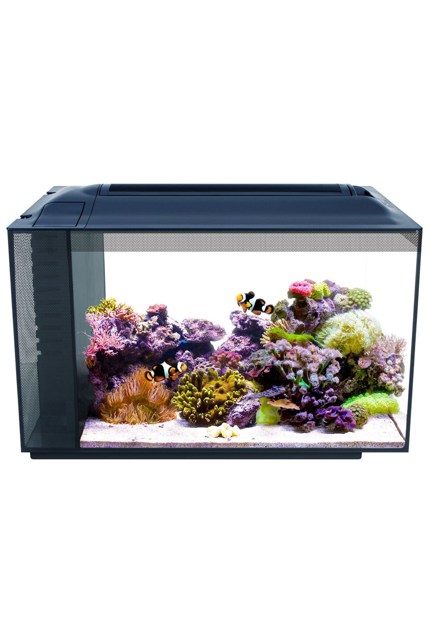 Fluval - Evo Acuario Marino, Negro, 52L