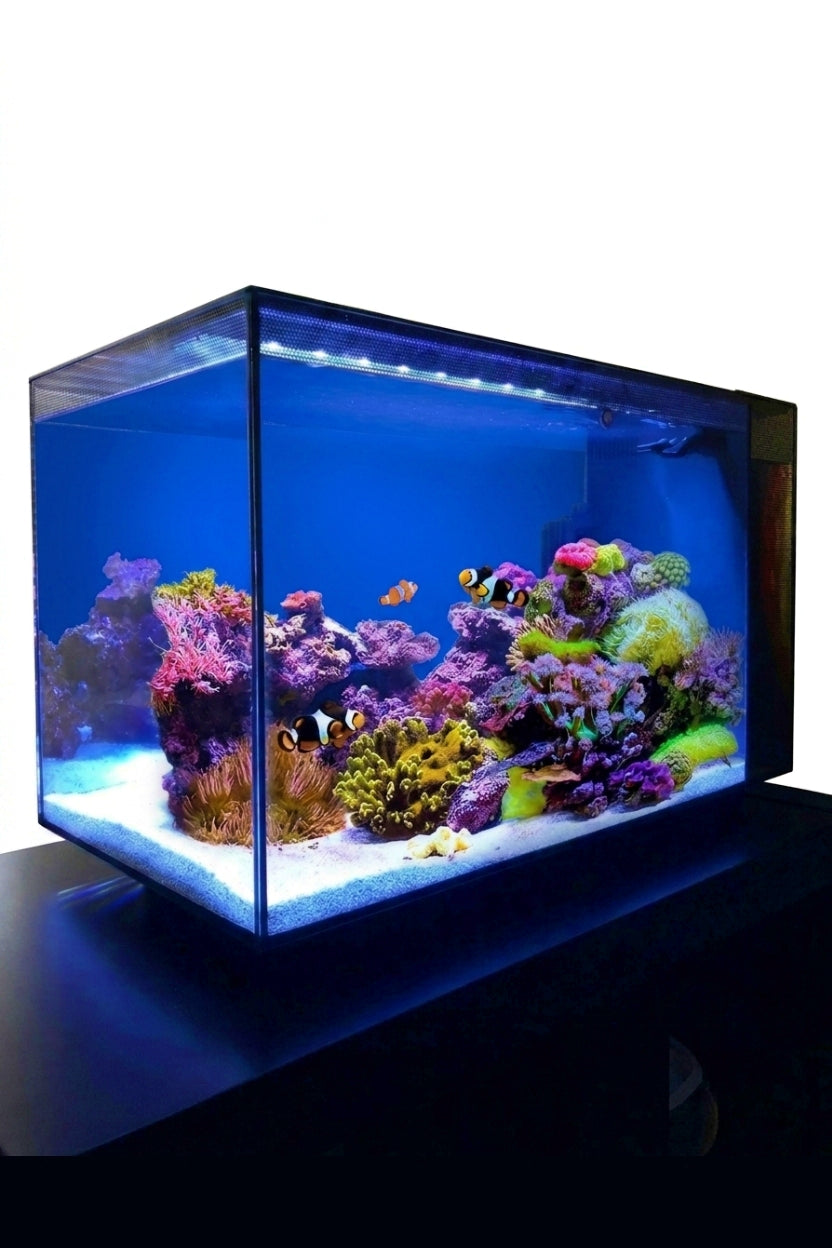 Acuario Marino FLUVAL EVO de 52 litros