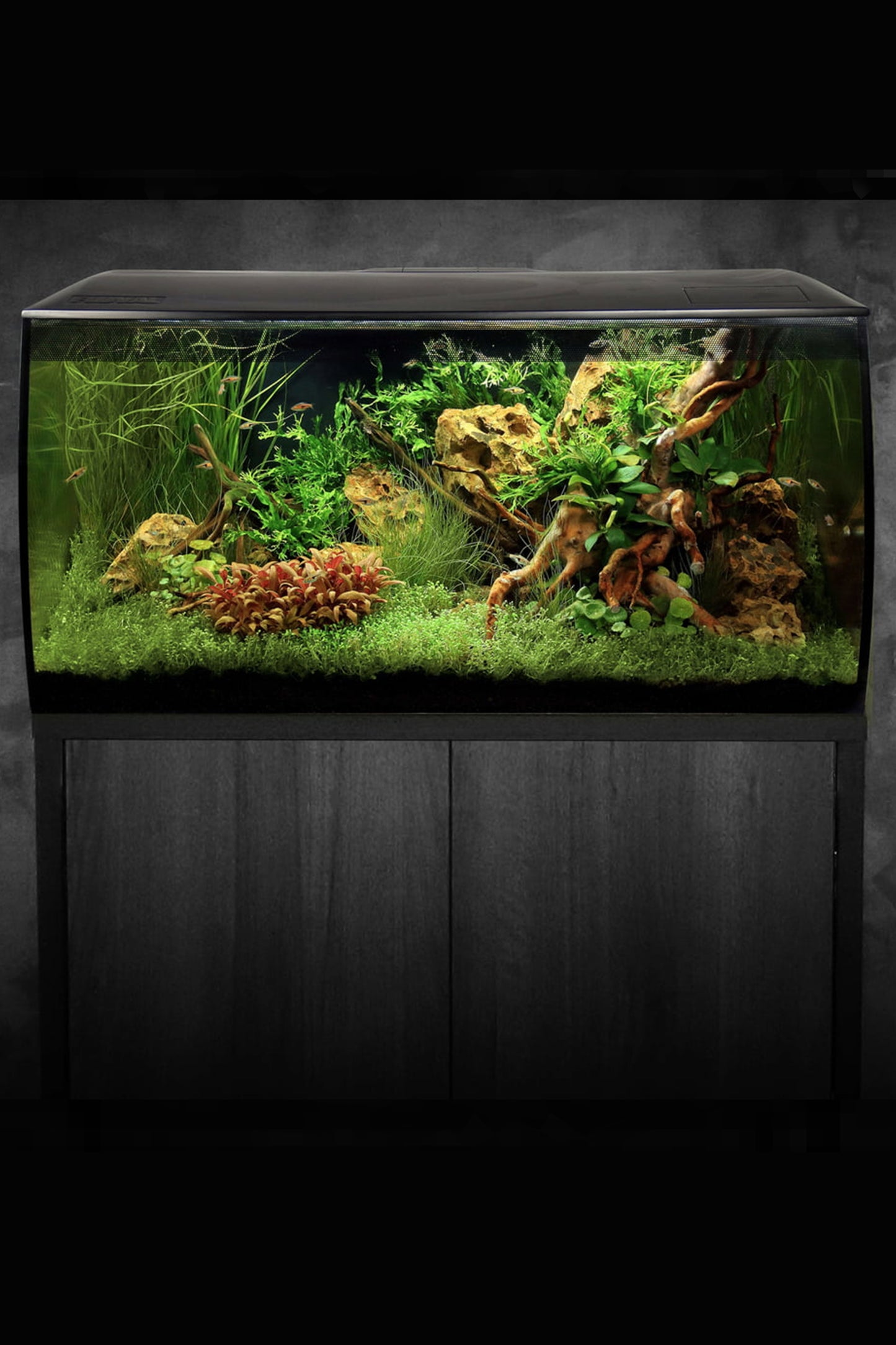 Fluval - Flex Kit Acuario, Negro, 123L