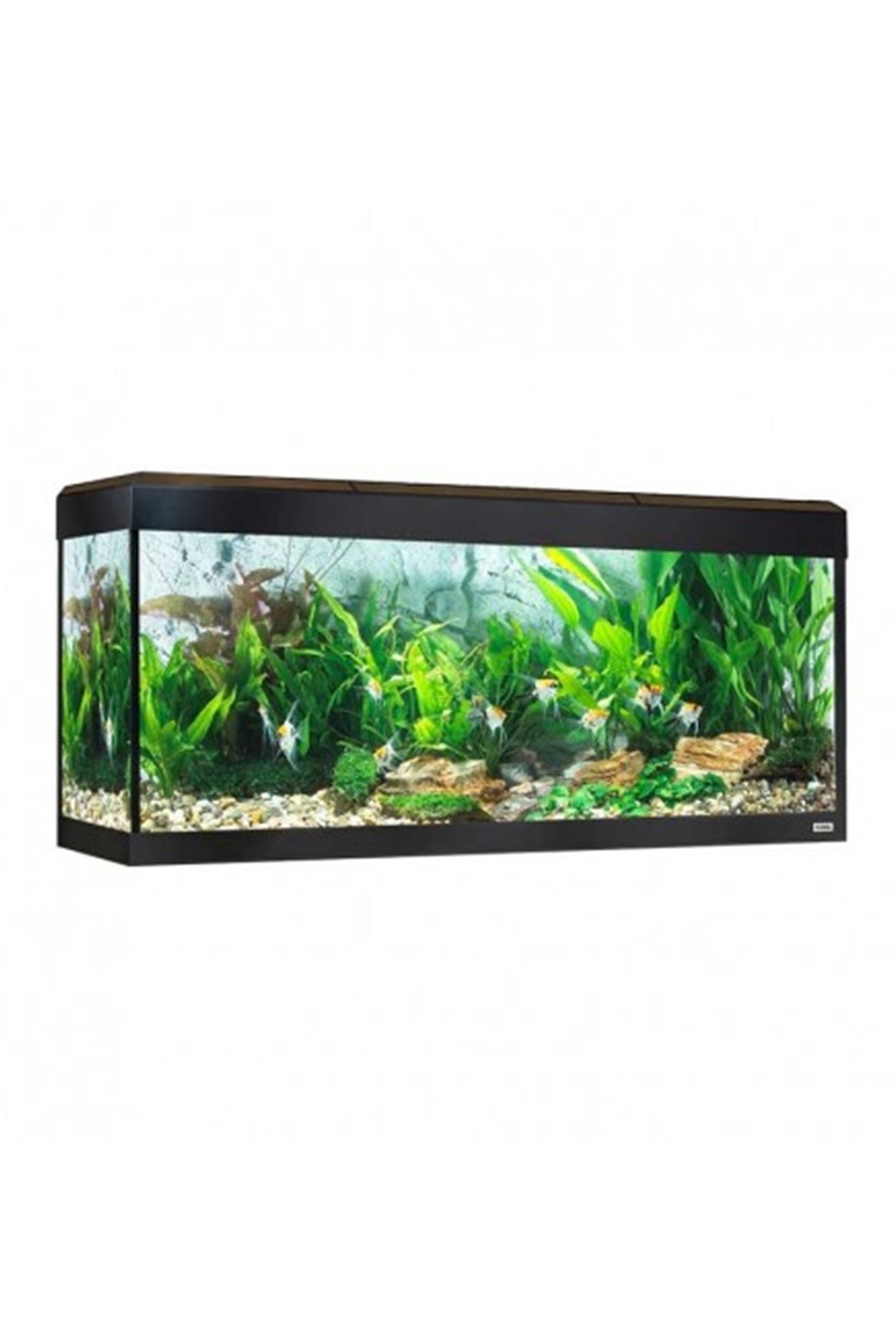 Acuario Roma LED Bluetooth 200 litros - Nogal