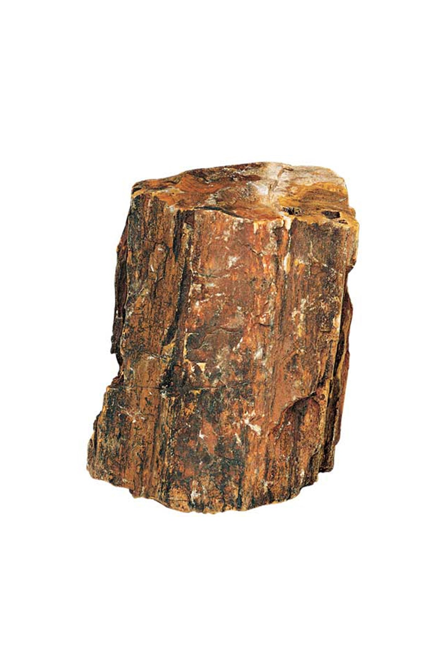 Hobby Dupla - 40688 Petrified Wood L, 2,2-4,0 kg Aprox/Piez