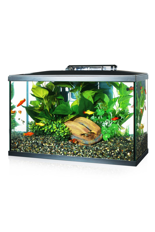 Marina - Led Kit Acuario 5G, 20L