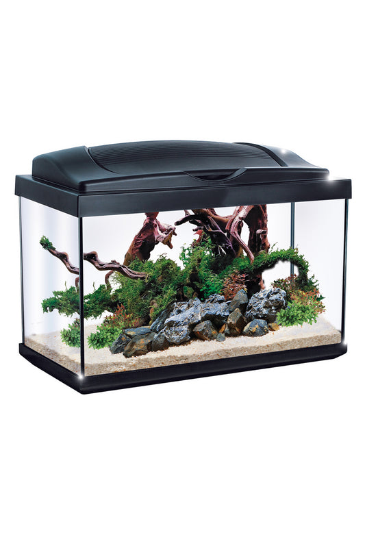 Newa - Hobby Aquarium 60 Liter