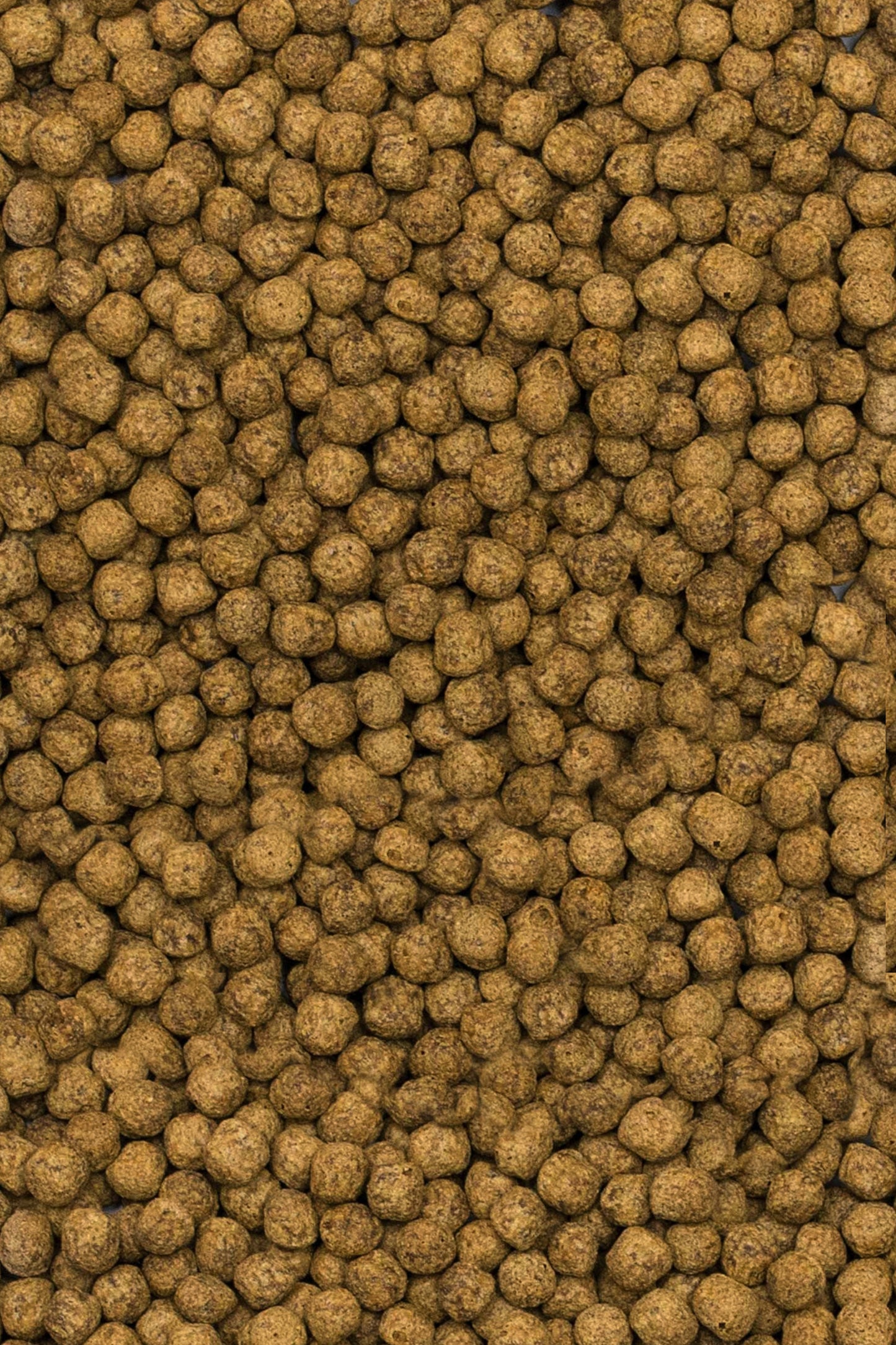 Tropical - Koi Probiotic Pellet Size M 7kg