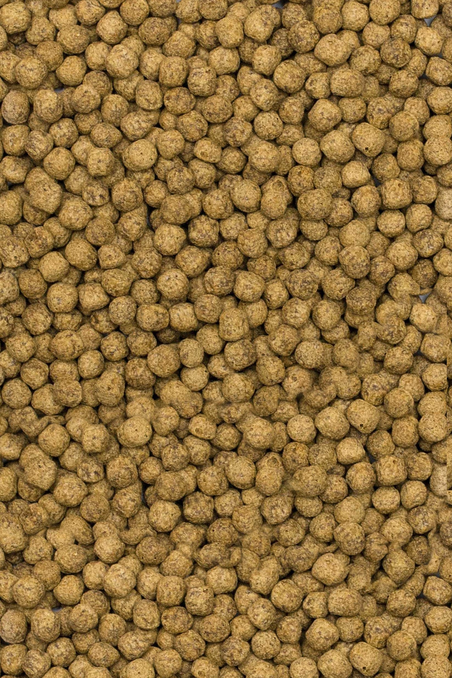 Tropical - Koi-Seidenraupen- und Astaxanthin-Pellet M 5 l/1,5 kg